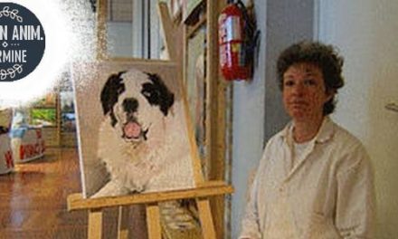 Salon Animalier CRUSEILLES . 1ère Edition