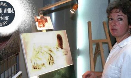 Expo Féline St RAMBERT . 1ère Edition