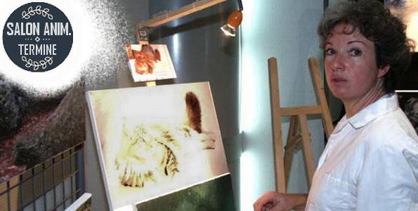 Expo Féline St RAMBERT . 1ère Edition