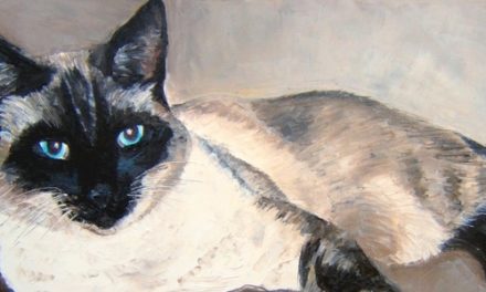 YOUKI . huile couteau