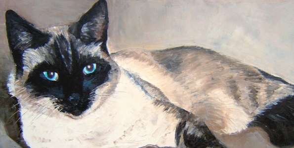 YOUKI . huile couteau