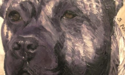 DOGO CANARIO . huile couteau