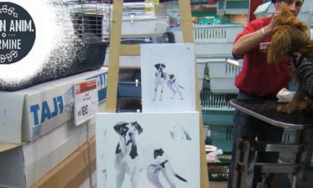 Animation Maxi Zoo ECHIROLLES