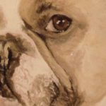 TOTO . huile couteau