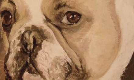 TOTO . huile couteau