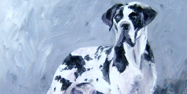 DOGUE ALLEMAND . huile couteau