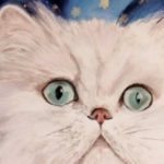 LUCAS . huile couteau