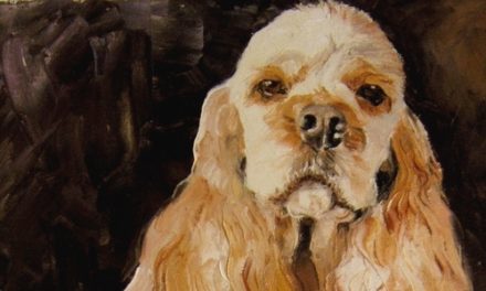 ROBIN MASTER . huile couteau