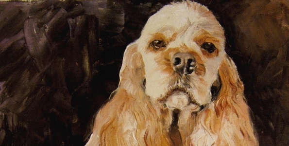 ROBIN MASTER . huile couteau