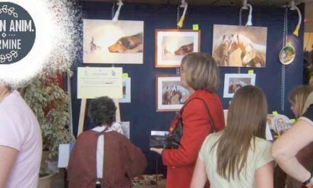 Salon Animalier St RAPHAËL . 4ème Edition