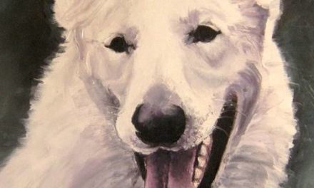 SHADOW . huile couteau