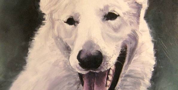 SHADOW . huile couteau