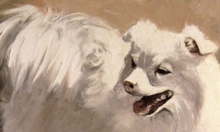 SPITZ BLANC . huile couteau