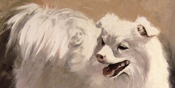 SPITZ BLANC . huile couteau