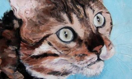 BILL . huile couteau