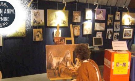 Salon Animalier PALAVAS . 7ème Edition