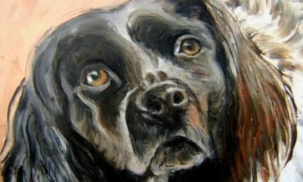 ARAMIS . huile couteau