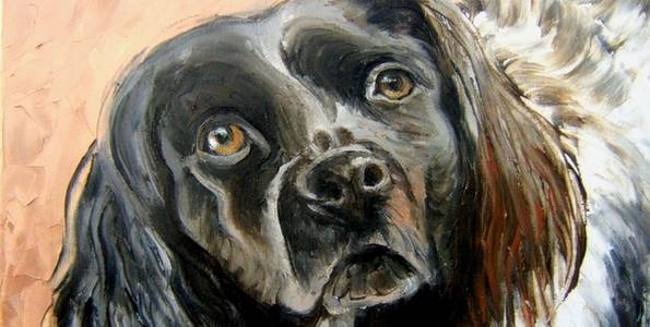 ARAMIS . huile couteau