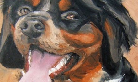 ATHOS . huile couteau