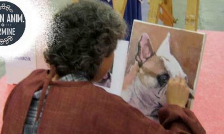 Salon Animalier VILLEFRANCHE . 13ème Edition