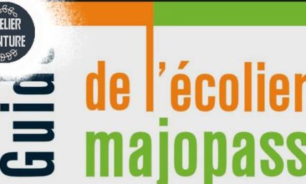 Presse . ATELIER SCOLAIRE peinture