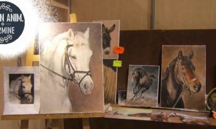 Salon du Cheval EUREXPO . 14ème Edition