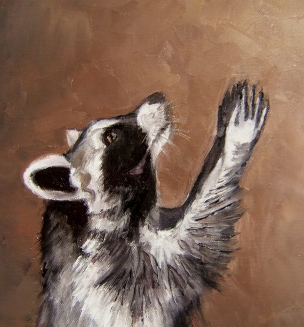 RATUS . raton laveur (peinture)