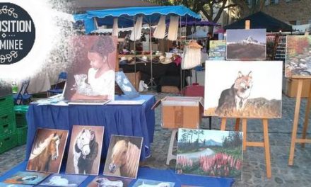 Expo AUBENAS . Marché Nocturne