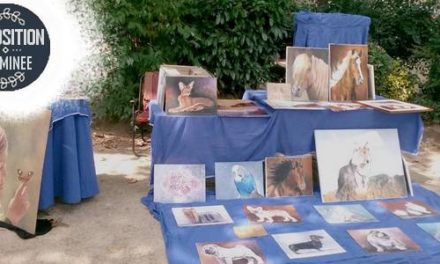 Expo VALS LES BAINS . Au Parc de Vals