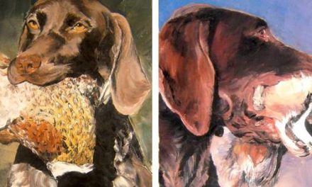 BRAQUE ALLEMAND . huile couteau