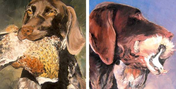 BRAQUE ALLEMAND . huile couteau