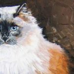 RAGDOLL . huile couteau