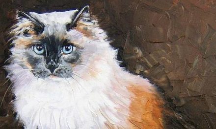 RAGDOLL . huile couteau