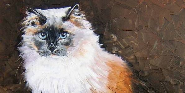 RAGDOLL . huile couteau