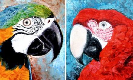 ARA & PERROQUET . huile couteau