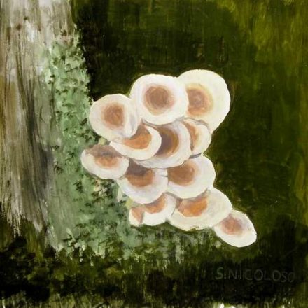 Champignons (gouache)