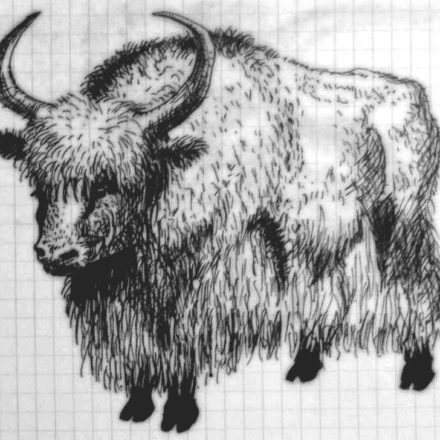 Yak (stylo bille)