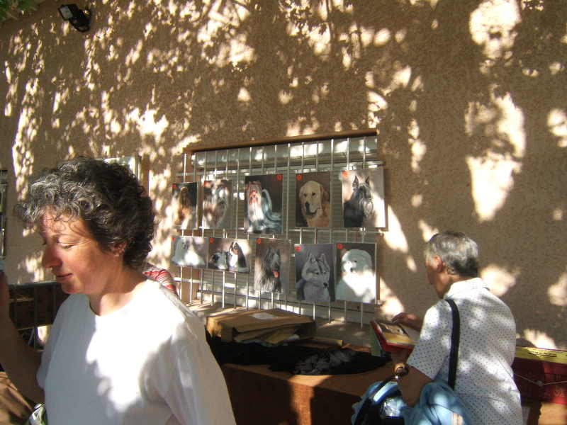 Animation MEYZIEU . 1ère Edition (photo)