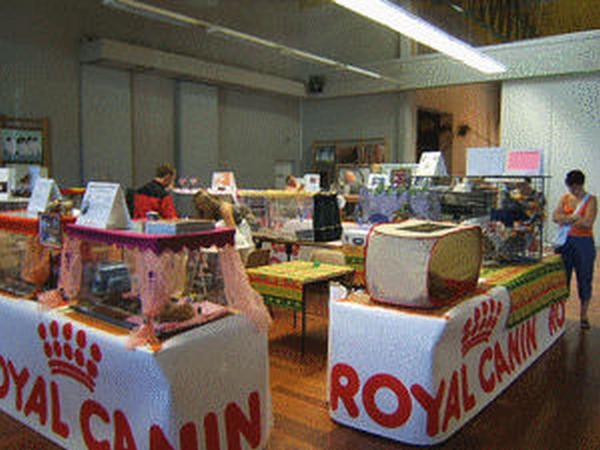 Salon animalier CRUSEILLES . 1ère Edition (photo)