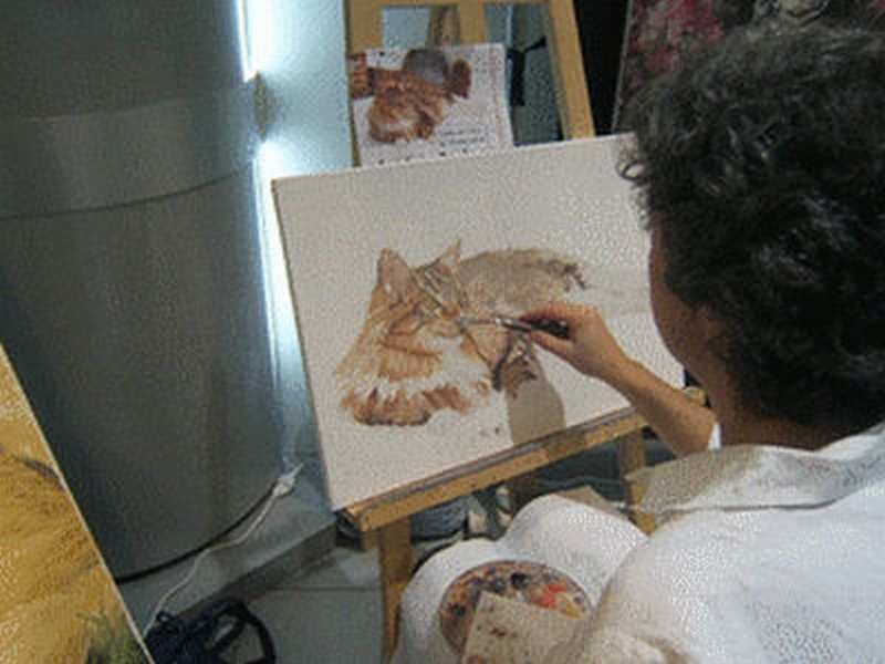 Exposition Féline Internationale St JUST St RAMBERT. 1ère Edition (photo)