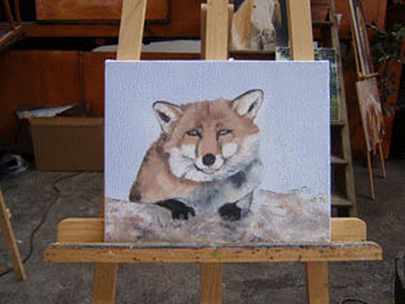 Salon du cheval & du poney LYON EUREXPO . 12ème Edition (photo)