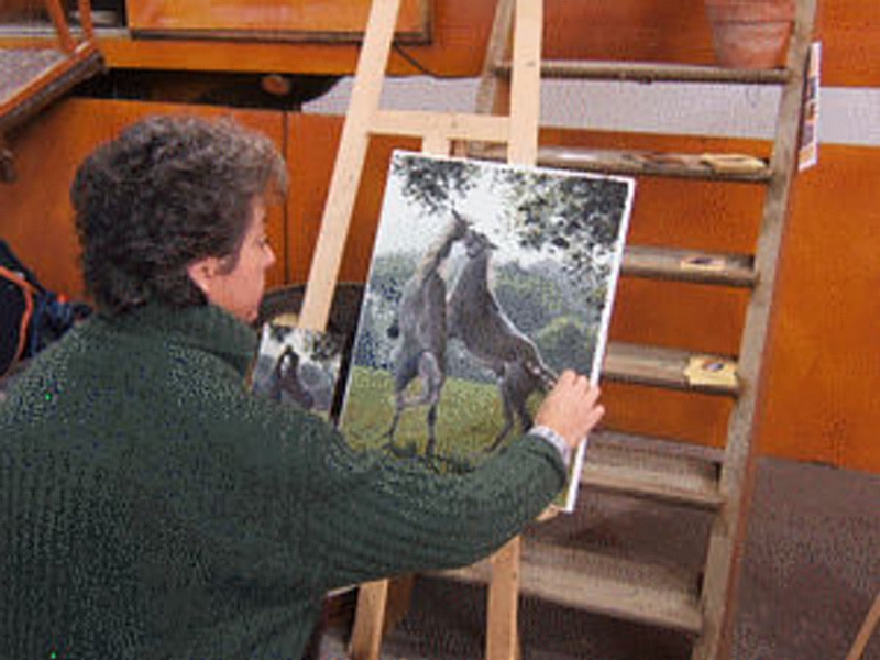 Salon du cheval & du poney LYON EUREXPO . 12ème Edition (photo)