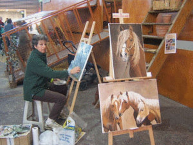 Salon du cheval & du poney LYON EUREXPO . 12ème Edition (photo)