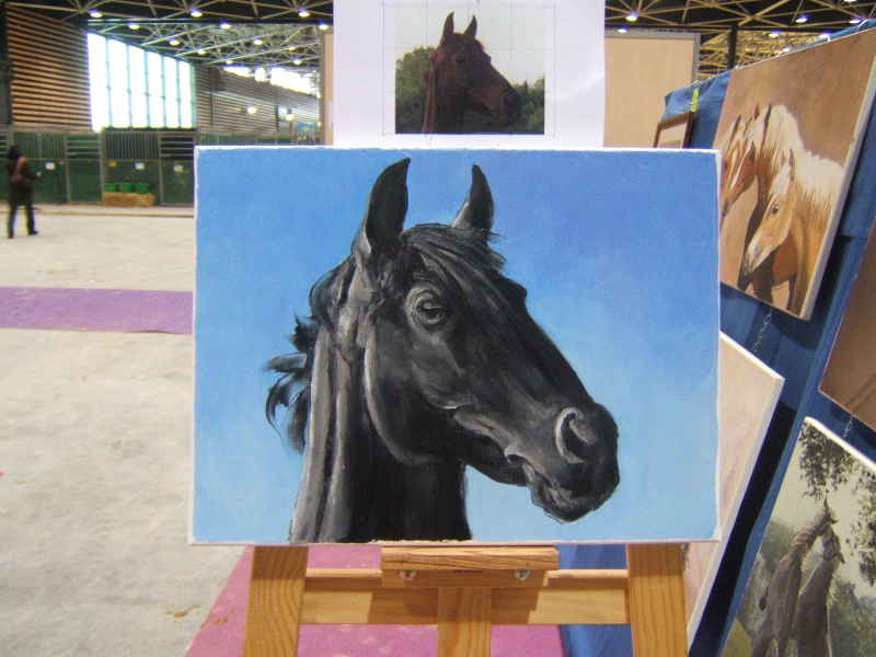 Salon du cheval & du poney LYON EUREXPO . 13ème Edition (photo)