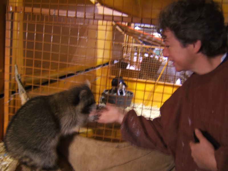 Salon du cheval & du poney LYON EUREXPO . 14ème Edition (photo)