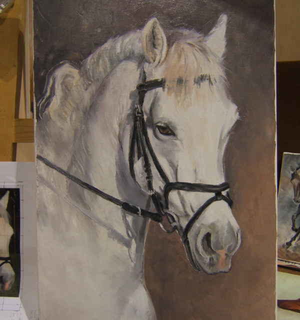 Salon du cheval & du poney LYON EUREXPO . 14ème Edition (photo)