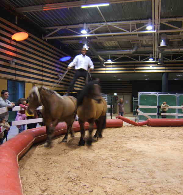 Salon du cheval & du poney LYON EUREXPO . 14ème Edition (photo)