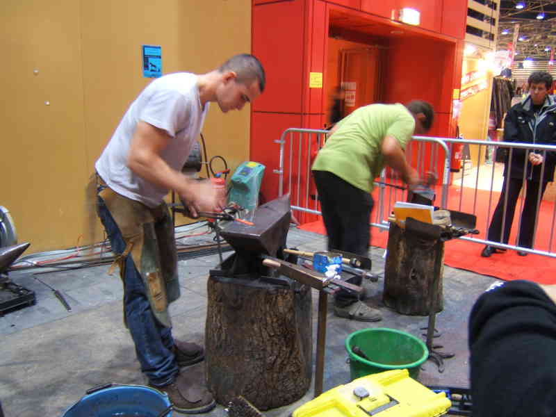 Salon du cheval & du poney LYON EUREXPO . 14ème Edition (photo)