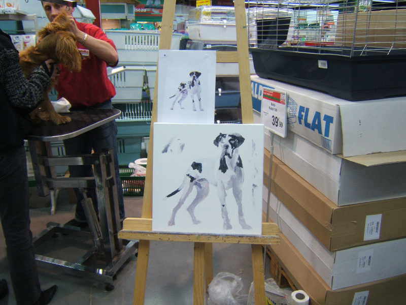 Animation en soirée chez Maxi Zoo ECHIROLLES (photo)