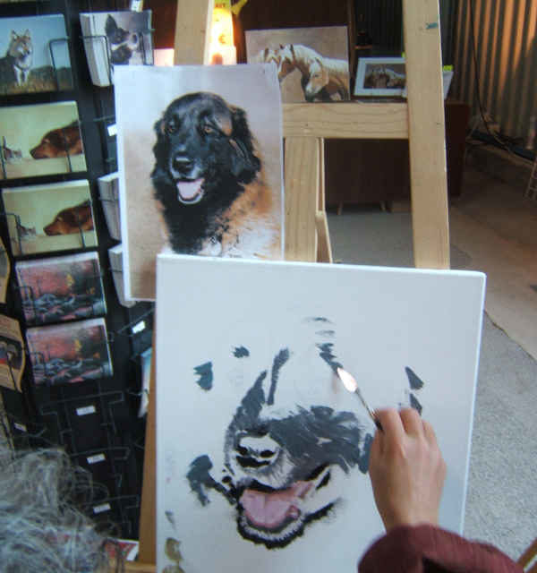 Championnat de France du Chien de Race . 129ème Edition (photo)